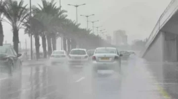 تحرك منخفض جوي.. الأرصاد الجوية توضح ظواهر الطقس المتوقعة غدًا الأحد